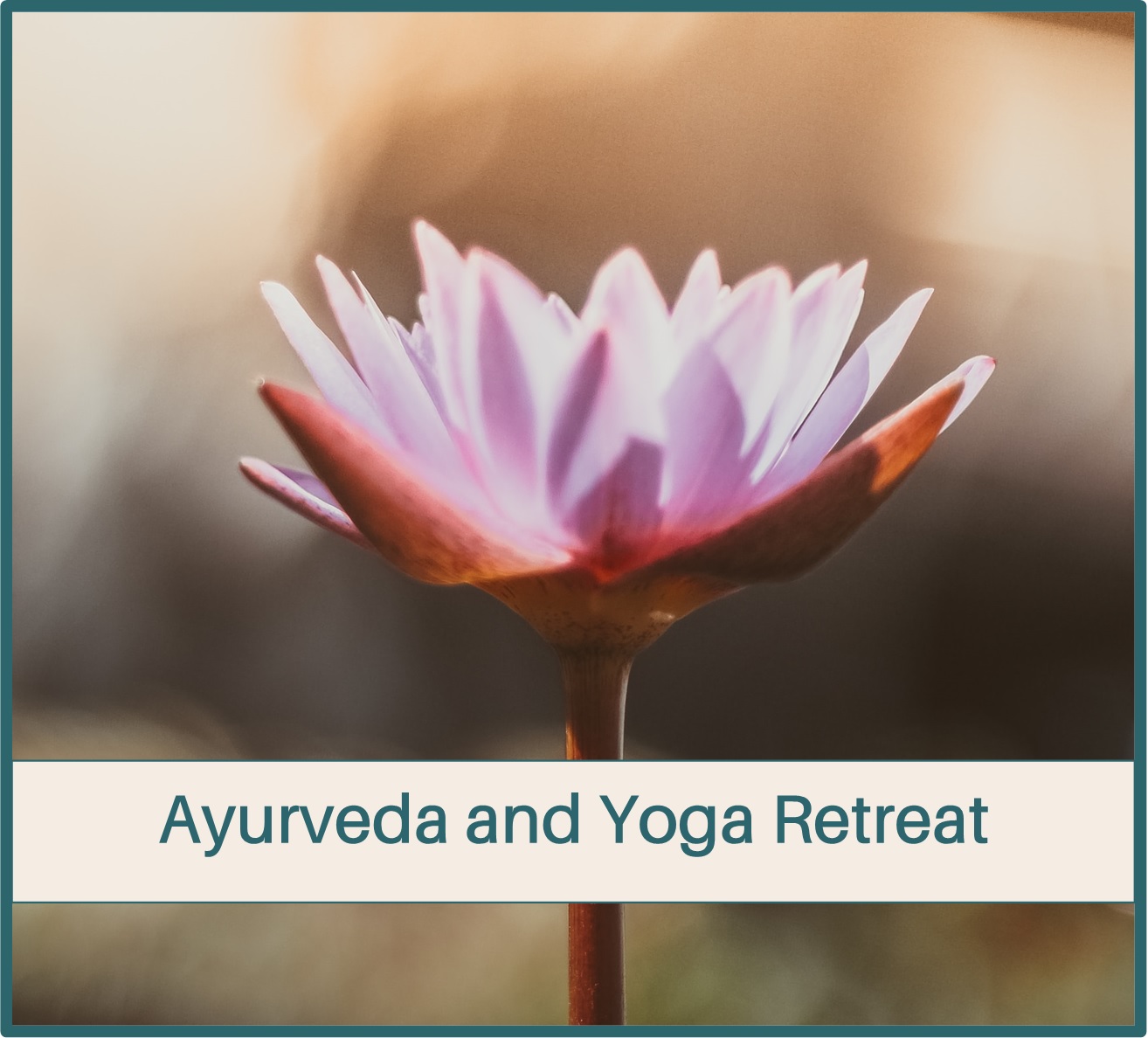 Ayurveda and Yoga Retreat